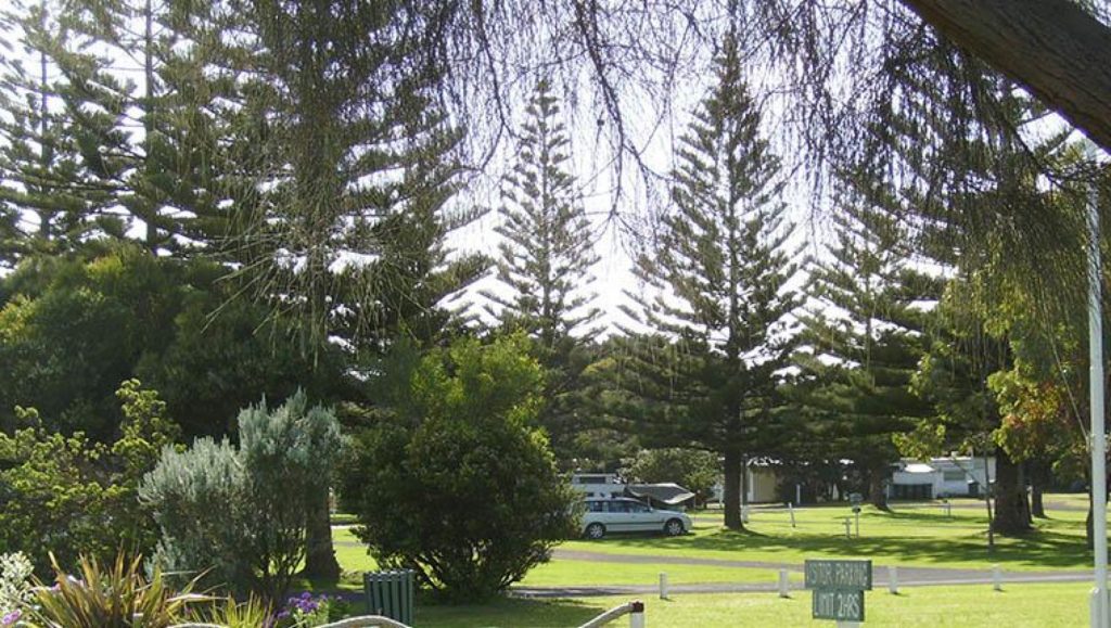 Powered Sites and Camping Sites - Narrawong Island Holiday Park
